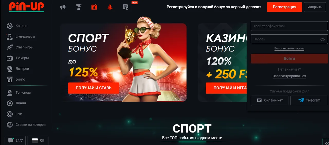Пошаговый Pin Up Вход в личный кабинет